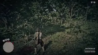 RDR2 Animal attacks plus legendary panther