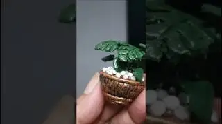 Clay miniature monstera plant🪴🪴☘️🍀 #jade #art #miniature