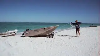 Mangrove Jack WA - Assembly Video