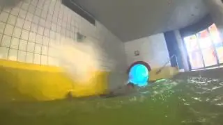 Aquaria Coburg R&ouml;hrenrutsche