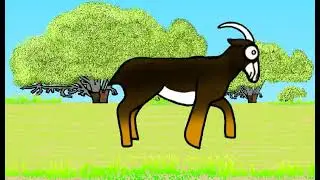 Happy International Tiger Day 2025 from the Flip Flap Channel YT Animated Short