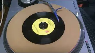 Wild Horses l The Rolling Stones l Scratchy
