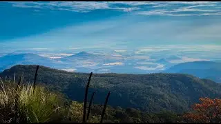 BUNYA MOUNTAINS | Camping in one of Australia's most beautiful National Parks