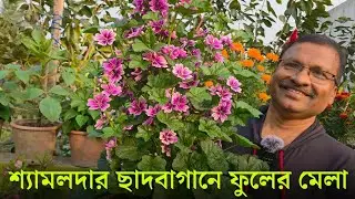 শ্যামলদার ছাদবাগানে ফুলের মেলা বসেছে || অভূতপূর্ব এক ছাদবাগান ফুলে ফুলে ভরা || Beauty of Nature 
