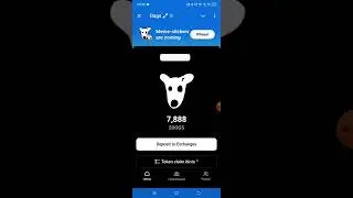 Dogs project listing Done. payment coming soon 😎 #foryou #video