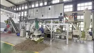 wood pellet machine,with 2t/h output.#woodchipper #woodpelletmachine #hammermill #biomassfuel