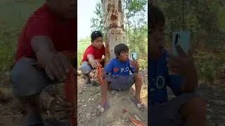 Outdoorfood WOW SIMPLE and USEFUL Share Watermelon In Forest #survival #forest #outdoor #camping