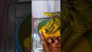 Easiest OKPA making