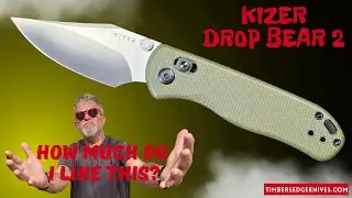 Kizer Drop Bear 2 Gr #kizerknives #kizerdropbear2 #knifereview #knifedisassembly