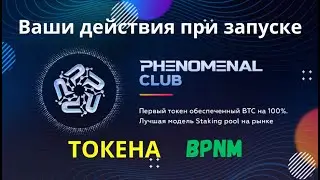 bPNM токен. Действия необходимые до и после СТАРТа, чтобы купить Limit Pack и получить  NFT.