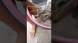 How to change rb tire (ragusa to compass tire 700x25c