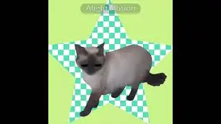 аська😸