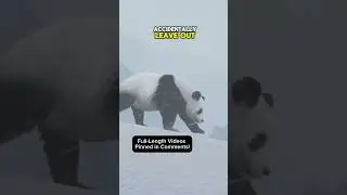 🐼 Giant Pandas - China&rsquo;s Teddy Bears #panda #pandas #pandabears #giantpanda