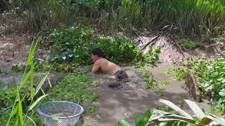 Willd Hunting Life - Catch Big Carp By Hand in Puddles - Hand Fishing Skills Catching Fish Parts 1