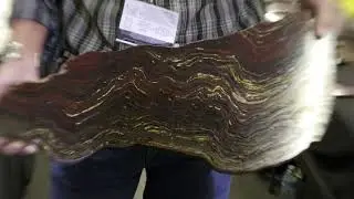 Rare deposit of Tiger Iron discovered Western Australia
