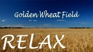 10minutes2relax - Golden Wheat Field Creative Commons Attribution License