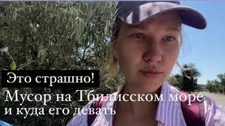 Мусор на Тбилисском море, нарциссы и другие твари