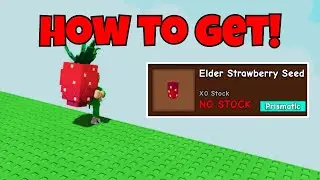 HOW TO GET ELDER STRAWBERRY SHOWCASE in GROW A GARDEN! | Roblox