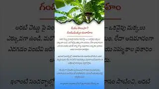 Did You Know This About Banana Trees?AmazingSpiritualFact#IndianTradition#GoodLuckSigns #