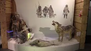 Kierikkikeskus Yli-Ii Oulu Arkeologinen  n&auml;yttely