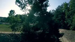 fpv1