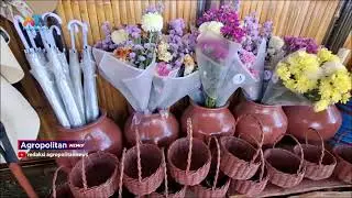 LIBUR SEKOLAH, PEMGUNJUNG PETIK STRAUBERI RAMAI | ATV MALANG RAYA