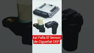 Est&aacute;s son 3 Fallas del Sensor de Cigue&ntilde;al CKP