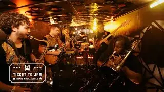 Hannabiell & Midnight Blue - Treedrum - Live Session Shambala 2024
