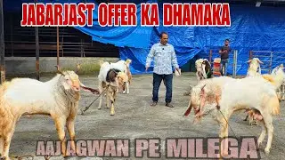 Ramzan Ki Chand Raat Tk Kon Sa Trader Mortelity Free De Rha Hai Agwan Goat Farm De Rha Hai Padgha