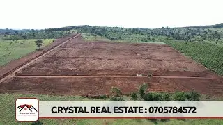 5 MILLION NKOZI TOWN ESTATE WITH A LAND TITLE NEAR NKOZI UNIVERSITY SUITABLE FOR HOSTELS AND HOTELS