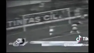 Kaneco Carretilha 
