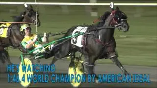 American Ideal 2016