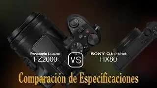 Panasonic Lumix FZ2000 vs. Sony Cyber-shot HX80: Una Comparaci&oacute;n de Especificaciones
