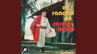 Tirando A Bruto