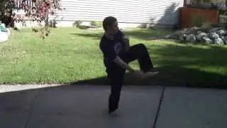 Kicking exercise training