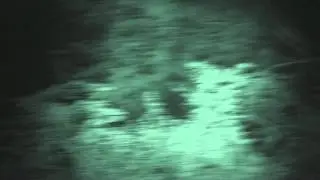 Handycam Super Nightshot with IR Illuminator in Forest