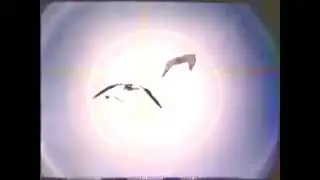 ABC Daytime Openings - March 16, 1984