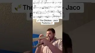 🎺🐔 #music #musician #trumpet #jazz #highnotes #band #jacopastorius #chicken #shorts #fyp #trending