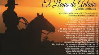 EL LLANO DE ANTAÑO