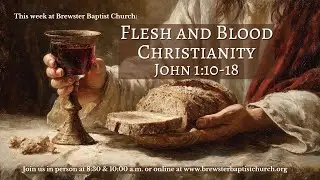 Предварительный просмотр книги &laquo;Христианство из плоти и крови&raquo;