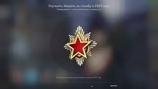 Getting 2023 Tier 6 Service Medal in CS:GO