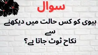 15+Interesting and General Knowledge Answers Question |Quiz with Raheela| 03