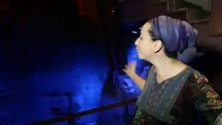 סיור בעיר דוד בצרפתית visite de la cit&eacute; de David
