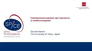 Talks - Young Research Leaders - Davide Bossini, The University of Tokyo, Japan