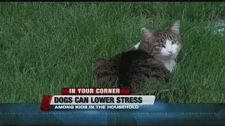 Pets help reduce anxiety