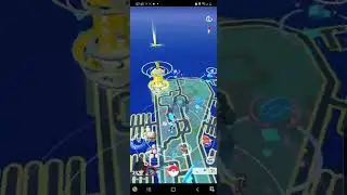 Pokemon Go ULTRA RARE WILD METAGROSS 🤯