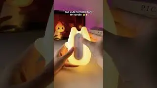 🐰 Bunny knows her angles.#flamberybunny #prettyglow #feedlight #videoshort
