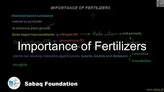 Importance of Fertilizers, Biology Lecture | Sabaq.pk
