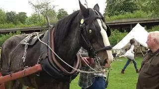 The Horse Drawn Timber Wagon or Forwarder