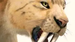 Smilodon Growl 🐅 🔊